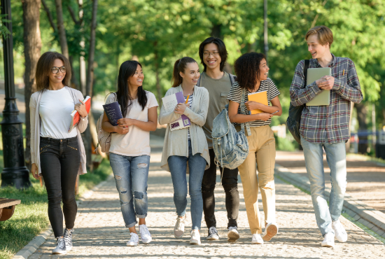 Students walking on a tree-lined path